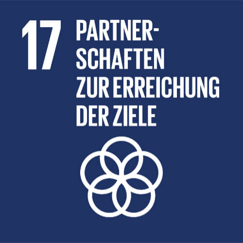 partnerschaften zur erreichung der ziele